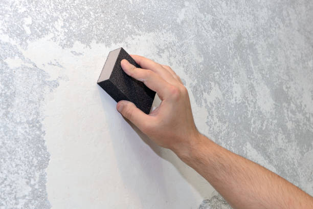 Best Environmental Consulting for Mold Prevention  in North Conway, NH