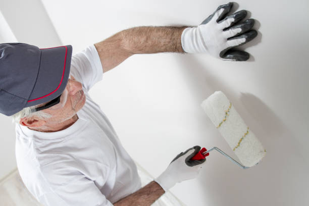 Best Mold Damage Restoration  in North Conway, NH