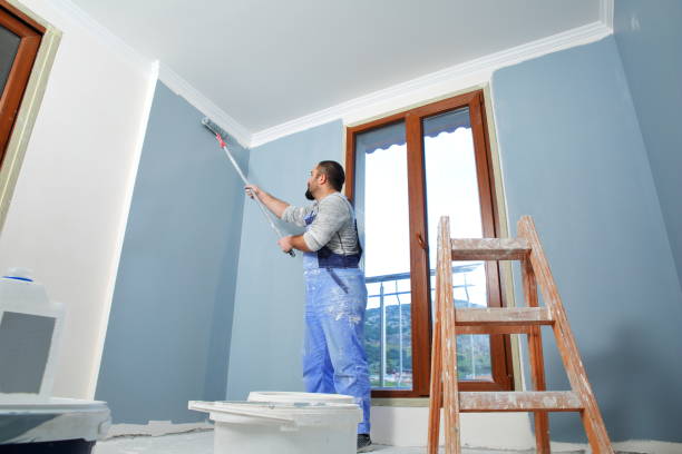 Best Biohazard Mold Removal  in North Conway, NH