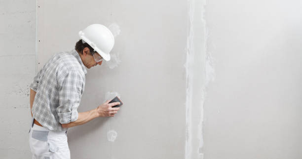 Best Mold-Related Health Consultation  in North Conway, NH