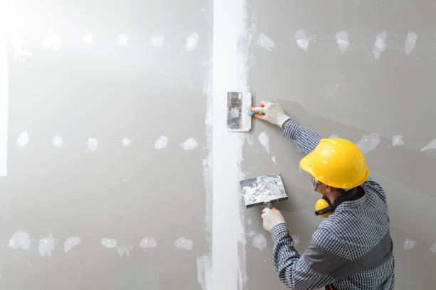 Best Industrial Mold Remediation  in North Conway, NH