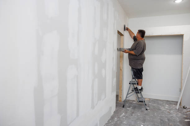 Best Crawl Space Mold Remediation  in North Conway, NH