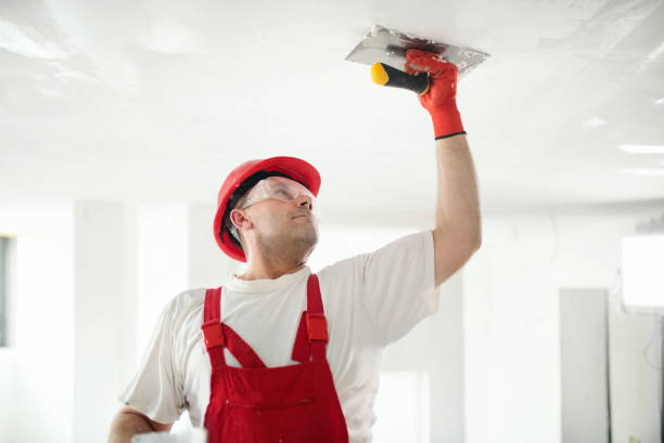 Best Dehumidification Services  in North Conway, NH