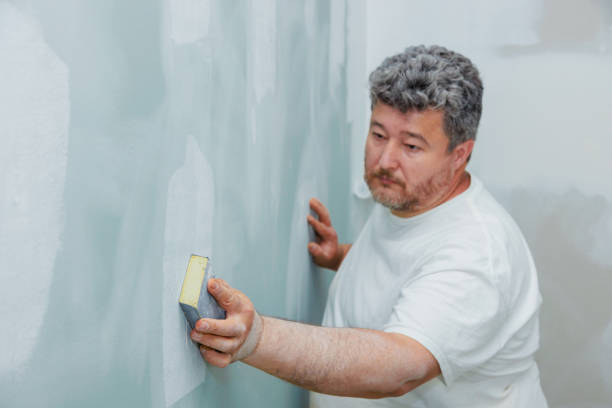 North Conway, NH Mold Removal Company