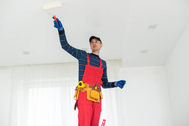 Best Emergency Mold Remediation  in North Conway, NH