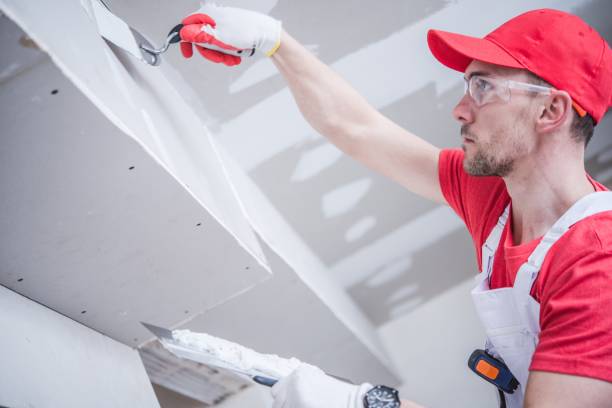 Best Mold Documentation for Insurance Claims  in North Conway, NH