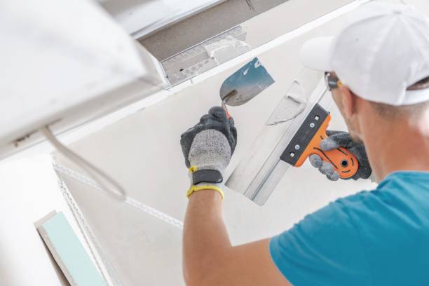 Best Mold Removal for HVAC Installations  in North Conway, NH